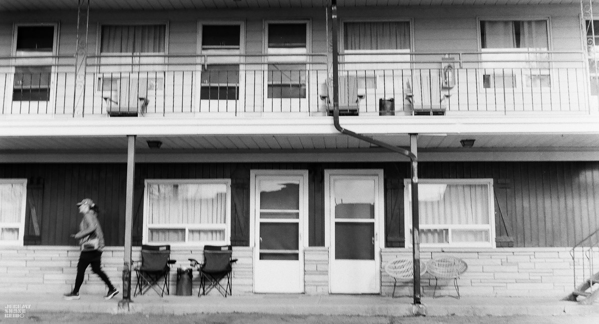 Kosmo Mono 100 x Seagull&nbsp;TLR